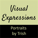 visualexpressions.ca
