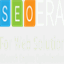 seoera.net