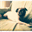 pugmatters.com