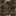chrisellis.net