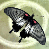 narutoanime100.webnode.com.br