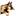 malinois-unter-schwarzer-flagge.de