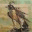 cryofthefalcon.wordpress.com