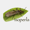 isoperlaapps.com