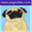 pugnotes.com