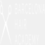 barcelonahairacademy.com