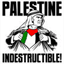 solidarity.palestinian.resistance.over-blog.com