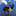 operationcaribou.over-blog.com