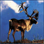 operationcaribou.over-blog.com