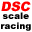 dsc-scaleracing.de