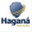 haganaseguros.wordpress.com