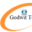 godwittech.com