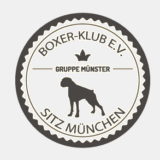 boxerklub-muenster.de