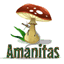 amanitas.se