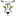 cheetahraid.com