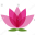 lightofthesoul.net