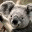 lucasandkelly.wordpress.com