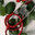 h2opipes.com