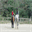 unamourdechevaux.over-blog.com