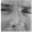 ollithaler.de