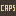 caps-wi.com