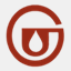gulatiudyog.org