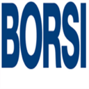 borsi.de