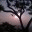 jgrewal03.wordpress.com