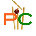 playcricket.us