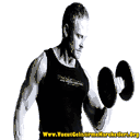 vucutgelistirmehareketleri.org