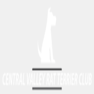 centralvalleyratterrierclub.net