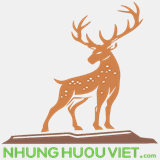 nhunghuouviet.com