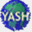 yashglobalgroup.com