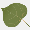 bouldersleepapnea.com