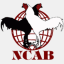 ncab.kku.ac.th