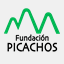 fundacionpicachos.org