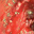 complications-in-endoscopy.com