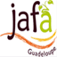 jafa.ireps.gp