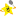 rshphilly.org