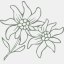edelweiss-apotheke.at