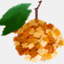 thetangerinetree.wordpress.com