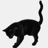 arnoldpasquier.over-blog.com