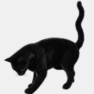 arnoldpasquier.over-blog.com