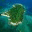 dominicanview.wordpress.com