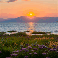 chestercountynewbornphotography.com