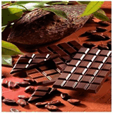 jlpchocolatier.fr.gd