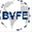 bvfe-online.de
