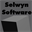 selwynsoftware.com