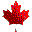 thisiscanada.net