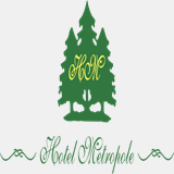hotelmetropolemurree.com